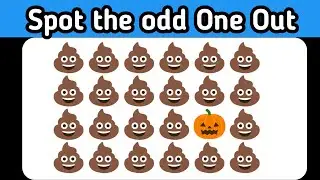 Find the ODD One Out | Zebra Quiz | 10 Ultimate Levels
