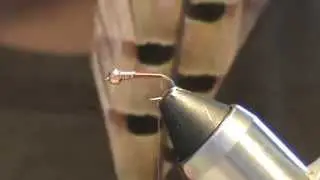 Fly Tying 