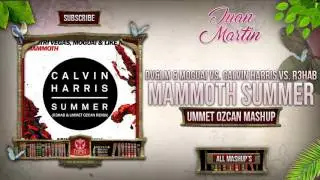 Summer Mammoth (Ummet Ozcan Mashup)