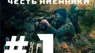 Первый взгляд на упавшая звезда(Честь наёмника)