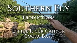 Fly Fishing Little River Canyon for Coosa Bass (Redeye)