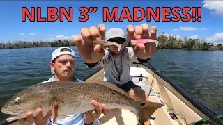 NLBN 3-дюймовый хвостовой плавник РАЗДАВИЛ рыбу!!!! (ловля рыбы на прицел)