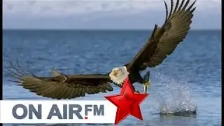 RAMADAN KRASNIQI -  KENG MERGIMI