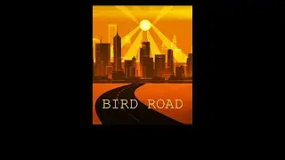 BIRDROAD BRANDS