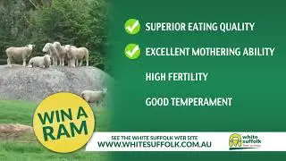 2018 White Suffolk TV Advert