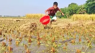 WOW Amazing Hand Fishing!! Fishing Video 2022.Daily Fishing BD.