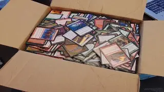 Twenty Dollar Random Buy! Ensnaring Bridge?!?