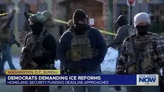 Democrats Demanding Ice Reforms