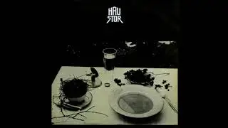 HAUSTOR - Mijenjam se