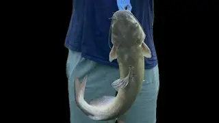 My very first catfish fishing rod and reel combo.