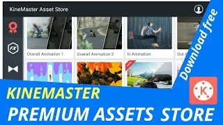 How to download assets from kinemaster asset store in malayalam