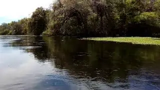 Paddle Board floating on the Ichetucknee River