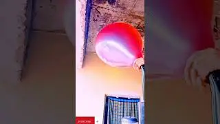 World's Largest Balloon🎈🎈#viral #experiment #shorts #short #facts #balloon#trending#magic#explore