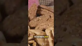These &lsquo;Bad&rsquo; Foods Taste TOO Good!