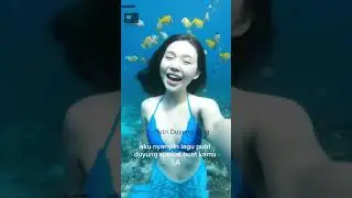 Nyayian Putri Duyung Indonesia 🇮🇩🇮🇩 #putriduyung #mermaid #vlog #shorts