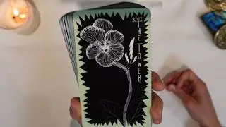 Не уверены в дальнейших шагах? Вот они.