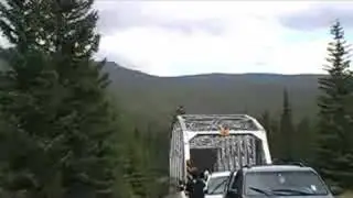ospreys, Castle Junction, Banff NP
