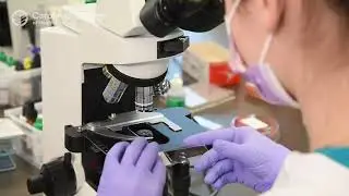 Medical Laboratory Science program at Carolinas College