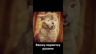 Упрощайте бухгалтерский учет с Entera!