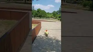 Учимся ездить на скейте #skateboarding #kidsactivities #outdooractivities #kidsvideo #shorts
