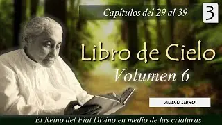 Volumen 6 - 3 | Libro de Cielo | Cap&iacute;tulos del 29 al 39 | Luisa Piccarreta - Divina Voluntad