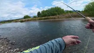 Patagonia Brown Trout Catch and Release
