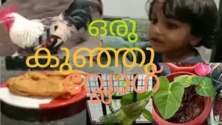 കുഞ്ഞു വീഡിയോ ആണേ |3H world|Family Vlog Malayalam|New youtuber|Malayalam Vlog|Travel Vlog