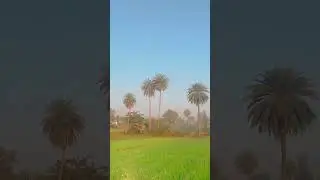 Farming video farming lover 🇮🇳💫jay jawan jay Kishan 🫂🇮🇳