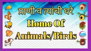 प्राणी व त्यांची घरे /Home of Animals & Birds