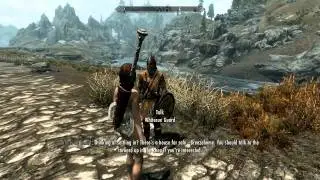 Skyrim - Whiterun Guards