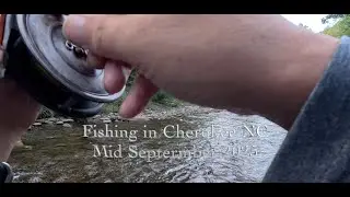 Fly Fishing and Camping at Cherokee NC, Mid September 2025