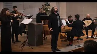 pura follia⏐Flavio Ferri-Benedetti, Cardinal Complex