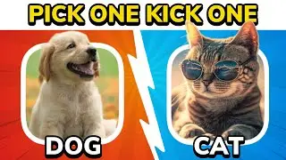 Pick One Kick One - Animals 🐾 Edition!