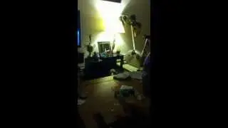 basset hound sound