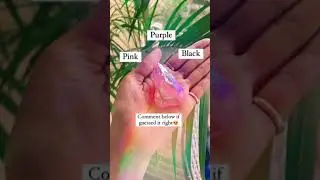 What is the color of the crystal I'm holding? Intuition Test with Crystals | EasyVasstu #shorts