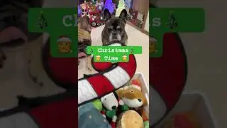 French Bulldogs Show Ultimate 🎄  Christmas  🎄 Dog Toy Collection!