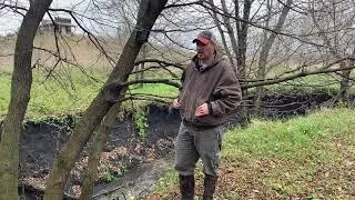 FFF Deer Movement During Rain
