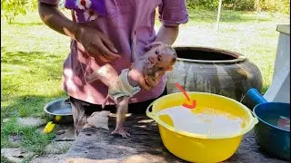 What Happened Lil Jasmine Screamm Refuse Mom For This Morninq Bath