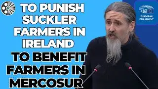 MEP Luke Ming Flanagan- speech from 18 Dec 2024