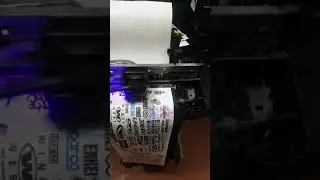Epson l120 vinilos ecosolventes