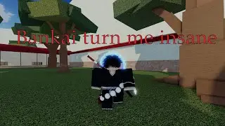 Bankai made me lose my mind  ( TYPE://SOUL )