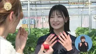 いちおし山梨【#50 いちかわベリーハウス】