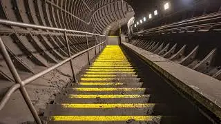 The 
