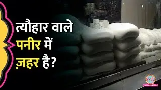 Diwali 2025 से पहले छापेमारी, Lucknow और Noida में Fake Paneer, Khoya फेंका गया | Blinkit