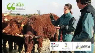 L'&eacute;thologie appliqu&eacute;e aux animaux d'&eacute;levage