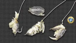 Как воплотить морскую блоху на рыболовные крючки