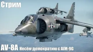 Стрим. AV-8A Несём демократию c AIM-9G