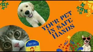 Vet Home visit | online vet consultation