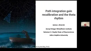 James Knierim (Johns Hopkins): Path integration gain recalibration and theta rhythm