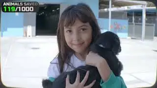 Mrbeast saved some animals & birds&bull;|| 